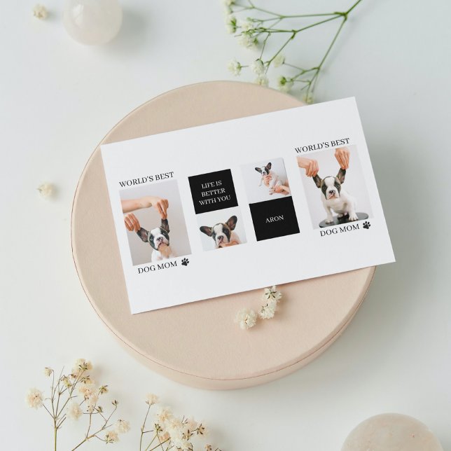 La mejor madre del perro del mundo | Fotografía de (Subido por el creador)