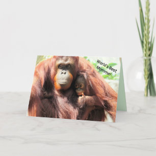 La Mejor Mamá del Mundo - Tarjeta del Día de la Ma