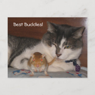 La mejor postal de Buddies