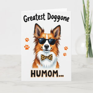 La mejor tarjeta de Humom para perros