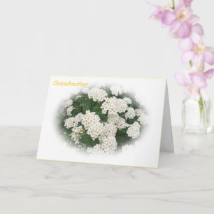 La mejor tarjeta del día de la abuela