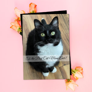 La mejor tarjeta del día de la madre del gato
