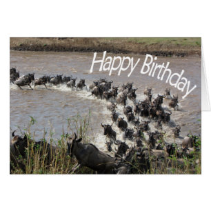 La migración (Cruce del río Wildebeest) - HB