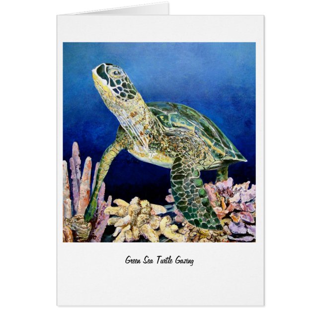 La mirada de la tortuga del mar Verde (Frente)