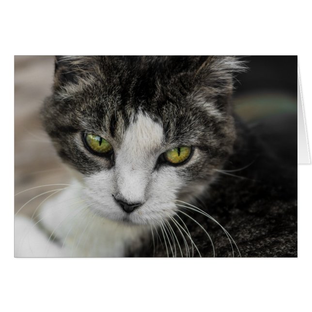 La mirada del bebé (Anverso (Horizontal))