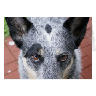 La mirada hacia abajo