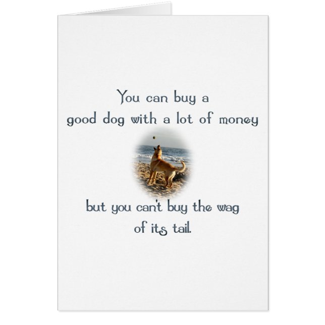 La mordaza de la cola (Frente)