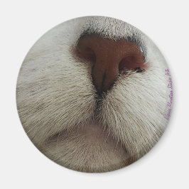 La Nariz Conoce la Nariz de Gato #1 imán