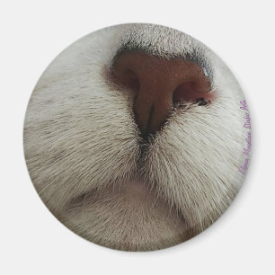La Nariz Conoce la Nariz de Gato #1 imán