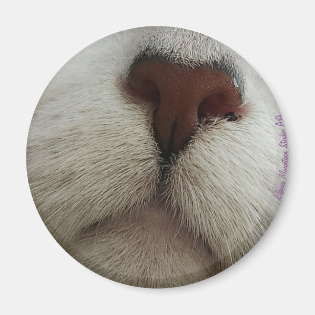 La Nariz Conoce la Nariz de Gato #1 imán (Frente)