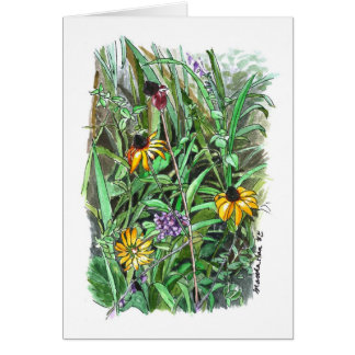 La naturaleza da belleza