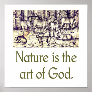 La Naturaleza Es El Arte De Dios