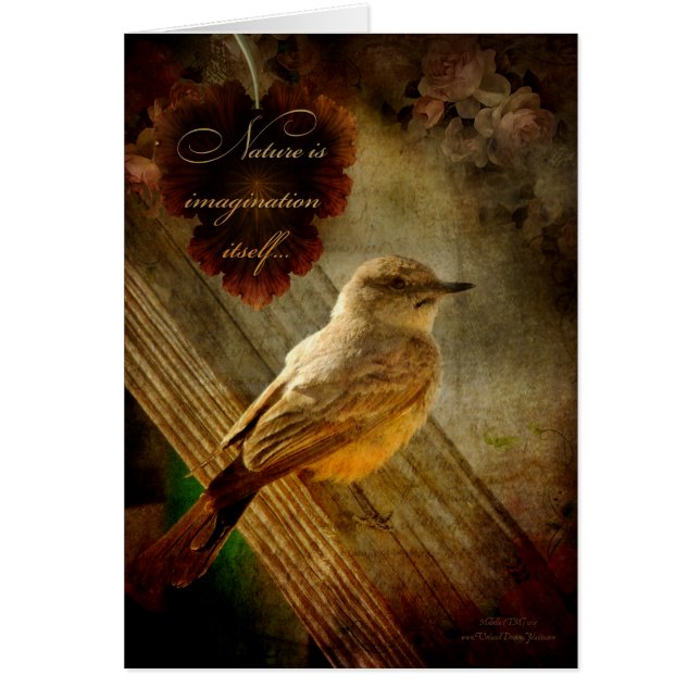 La naturaleza es imaginación (Frente)