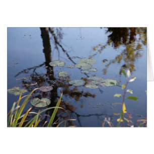 La naturaleza es una lengua…