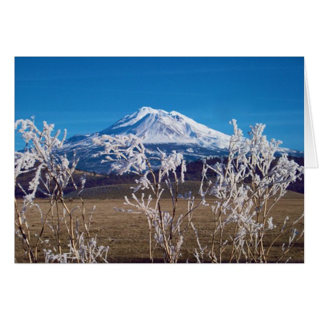 La naturaleza habla imagen de la cubierta de libro (Anverso (Horizontal))