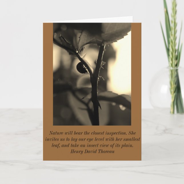 La naturaleza inspiró la tarjeta de felicitación (Anverso)