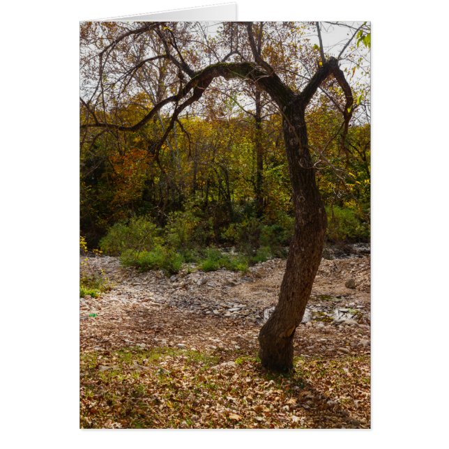 La Naturaleza llegando (Frente)