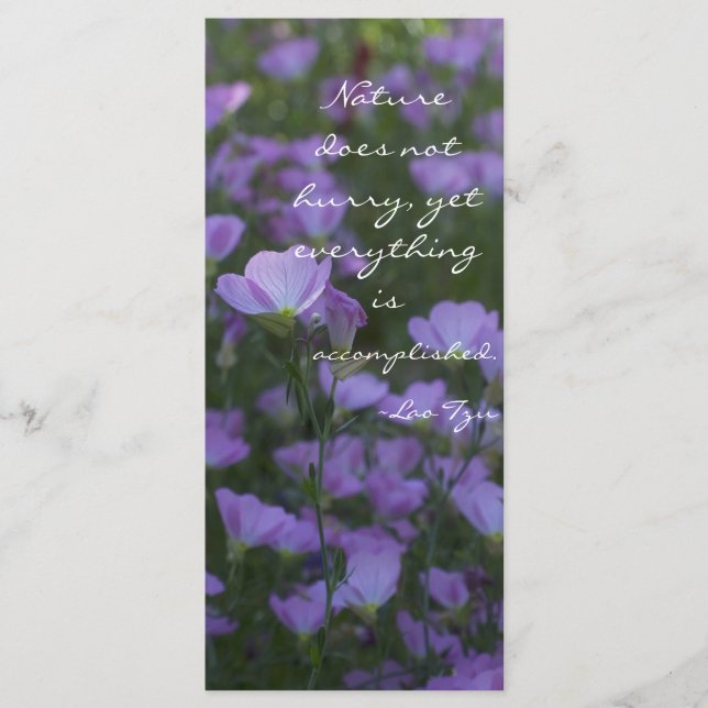 La naturaleza no se apresura (Anverso)