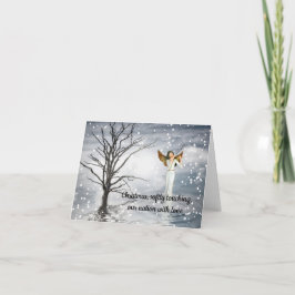 La Navidad toca nuestra nación con amor