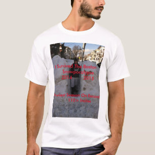 La nieve peor en la camiseta de Boston