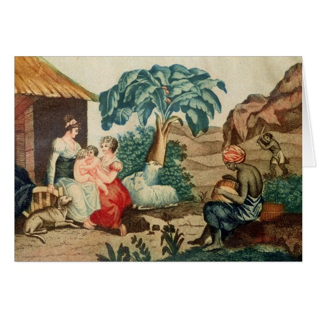 La niñez de Paul y de Virginie (Anverso (Horizontal))