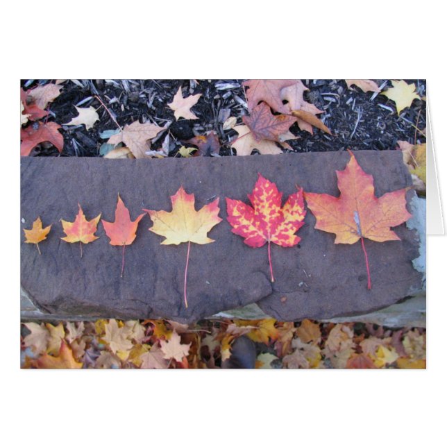 La niñez es efímera (Anverso (Horizontal))