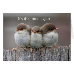 La noche divertida de los chicas hacia fuera carda