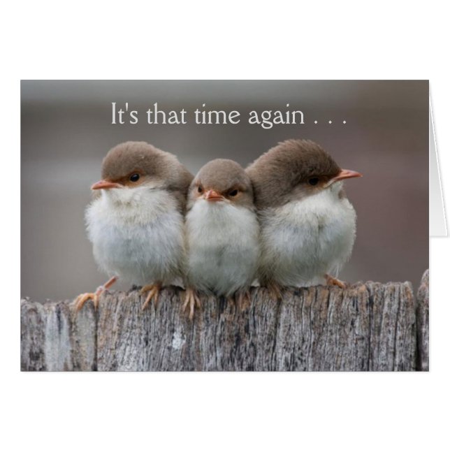 La noche divertida de los chicas hacia fuera carda (Anverso (Horizontal))