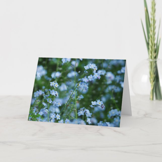 La nomeolvides florece la tarjeta (Anverso)