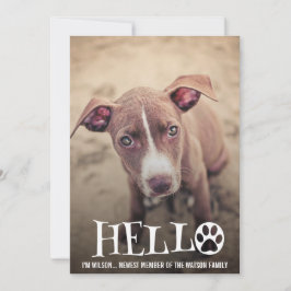 LA NUEVA FOTO DE LA INVITACIÓN DE LA ADOPCIÓN DEL