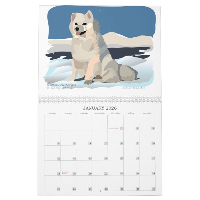 La O.N.U Blanc pequeno - un calendario para los (Jan 2026)