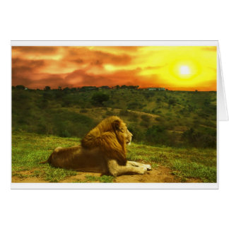 La opinión del león