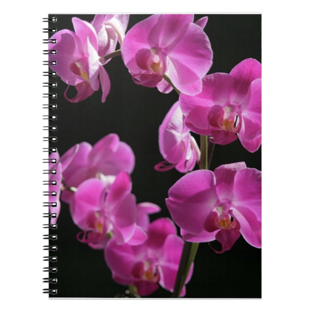 La orquídea florece cuaderno (Frente)