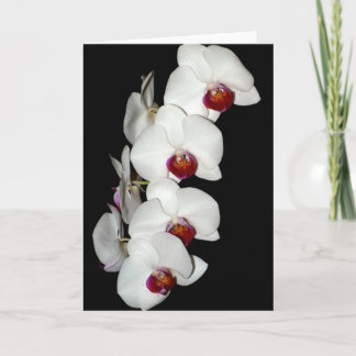 La orquídea florece tarjeta de felicitación
