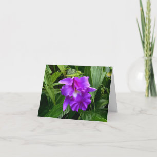 La orquídea púrpura w sale de la tarjeta de nota