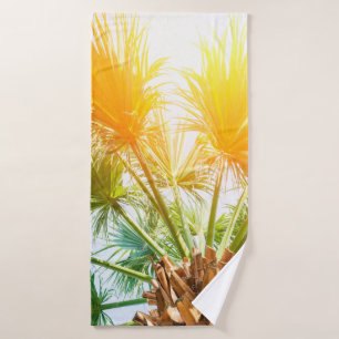 La palmera del árbol brillante fondo del verano. p