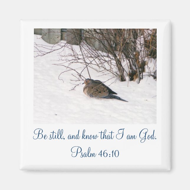 La paloma en el imán de la ciencia de la nieve (Frente)