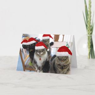 La pandilla presenta tarjetas de Navidades