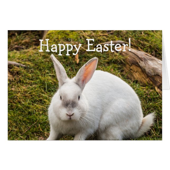 La Pascua del Conejo Blanco (Anverso (Horizontal))