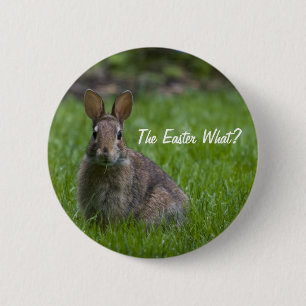 ¿La Pascua qué? Botón
