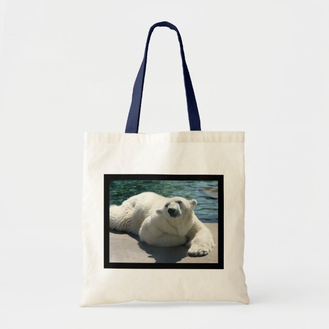 La pequeña bolsa de asas ártica del oso polar (Frente)