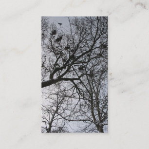 La pequeña tarjeta de la foto de los cuervos