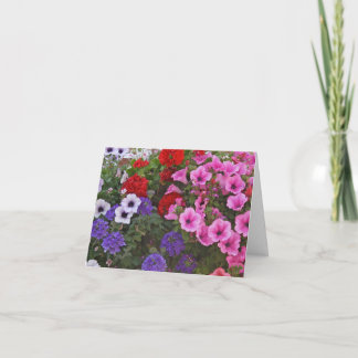 la petunia florece la tarjeta de regalo