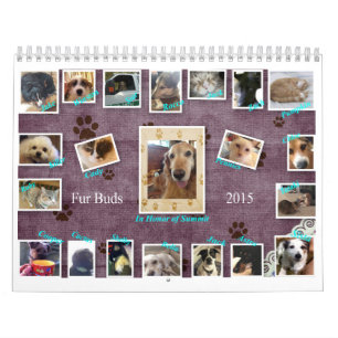 La piel florece el calendario 2015