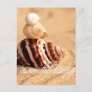 La pila de cáscaras de la concha ahorra la postal