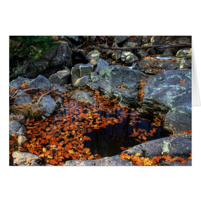 La piscina dorada (Anverso (Horizontal))