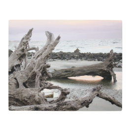 La playa de Driftwood en el arte Metalizado Winter