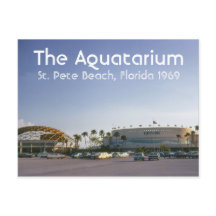 La playa del Aquatarium St. Pete, la postal de Flo