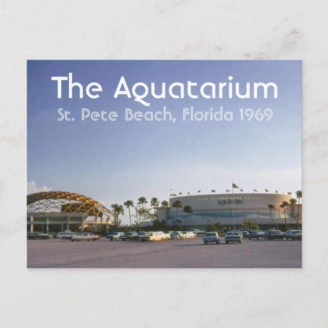 La playa del Aquatarium St. Pete, la postal de Flo (Anverso)