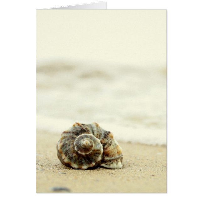 La Playa Está Solo (Frente)